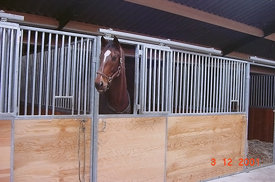 Huisvesting paarden 1p 23 Een nieuwe ontwikkeling bij het inrichten van paardenstallen is het plaatsen van voerhekken.