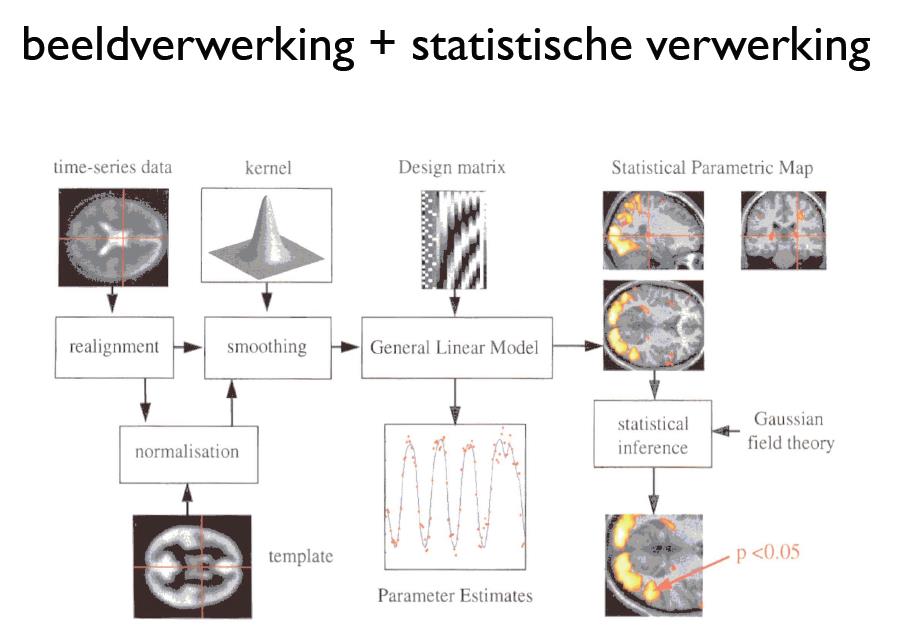 taken? - Lage activiteit bij dimming - Hoge activiteit bij exp.