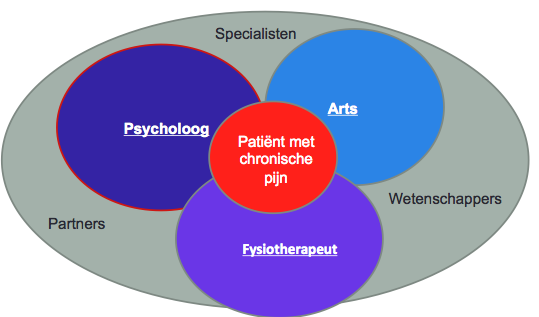 Embedded researcher Onderzoek naar pijneducatie in transdisciplinaire setting!