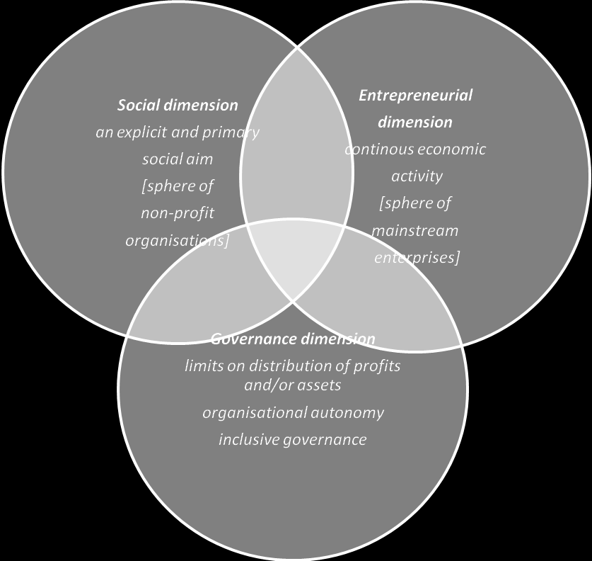 12 een economische dimensie ( entrepreneurial dimension : continue economische activiteit, waardoor de sociale onderneming zich onderscheidt van de traditionele non-profit organisaties); een sociale