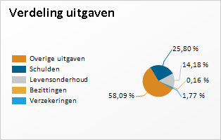 Het bedrag dat overblijft als uw uitgaven en kosten voor levensonderhoud zijn betaald, noemen we het resterend budget. Totaal bruto jaarinkomen 114.511,50 Totaal jaaruitgaven 58.