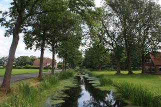 HOOGVEENWINNING Kwaliteit: Het landschap van dit langgerekte gebied is gevormd door grootschalige commerciële turfwinning. Op deze plek lag een nooit ontgonnen uitgestrekt hoogveengebied.