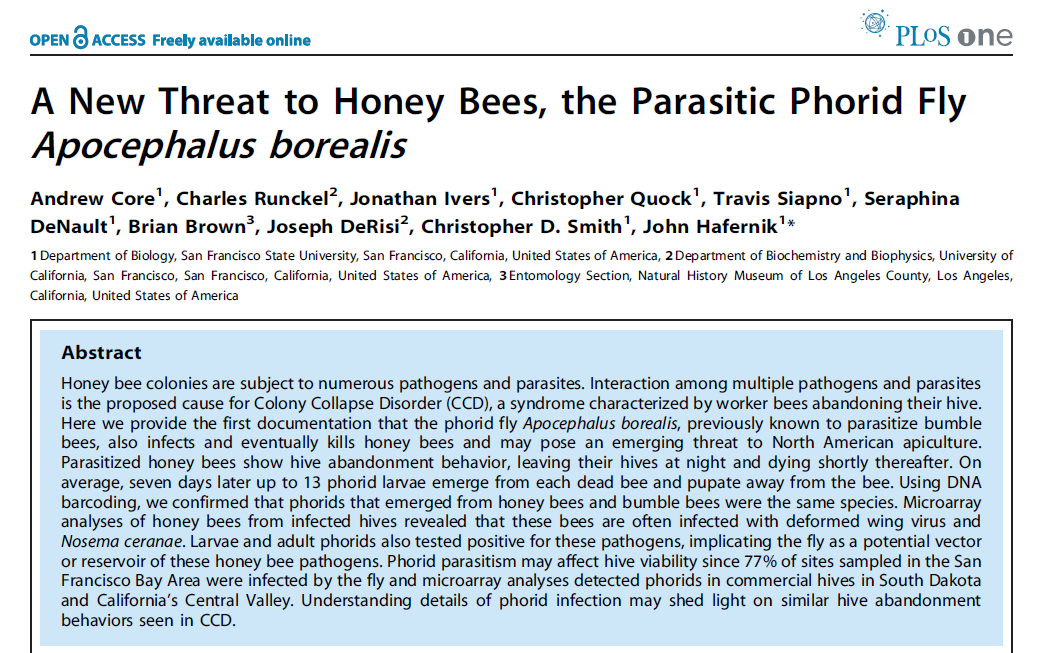 Meer weten? Chauzat, M., Martin, S. 2009 A foreigner in France: the Asian hornet. Roberts, S., Rome, Q., Villemant, C.