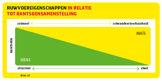 Het rantsoen bepaald voederwaarde gras en maisrassenkeuze