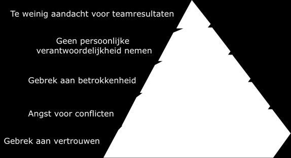 Fase 1: Ontwikkeling = binding en focus creëren Spiral Dynamics/waardenmanagement voor inzicht in elkaars waarden en drijfveren Oefeningen en opdrachten om een gemeenschappelijke visie te formuleren