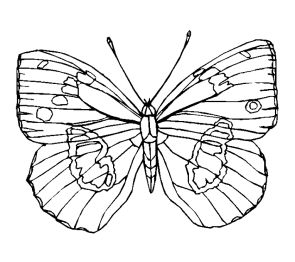 KUNSTRIJK(E) DAGTOCHTEN Kunst is een vlindernet waarin zeldzame momenten als mysterieuze vlinders worden gevangen Giorgio de Chirico,1919 Aan alle vriend(inn)en, cursisten en belangstellenden van