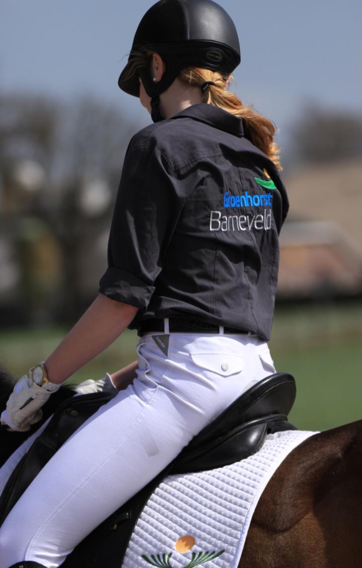 Opleidingen Instructeur: BOL en BBL niveau 3 + 4 Niveau 3: Vakbekwaam medewerker paardensport en houderij (3 jaar) (Barneveld i.s.m KNHS in Ermelo) Niveau 4: Instructeur Paardensport en -houderij (4 jaar) (Barneveld i.