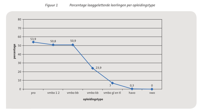 Leesproblemen in