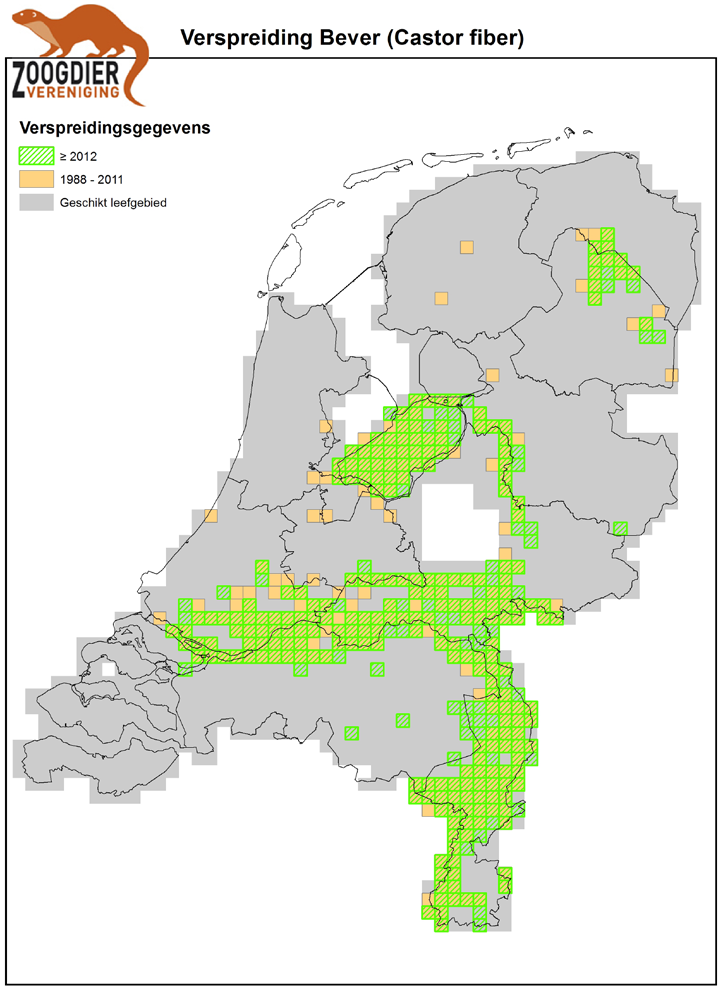 Meetnet Bever en Otter 2008). Vanuit deze uitzetgebieden wordt met name het rivierengebied bevolkt. In Limburg bezetten de bevers steeds meer beeksystemen.