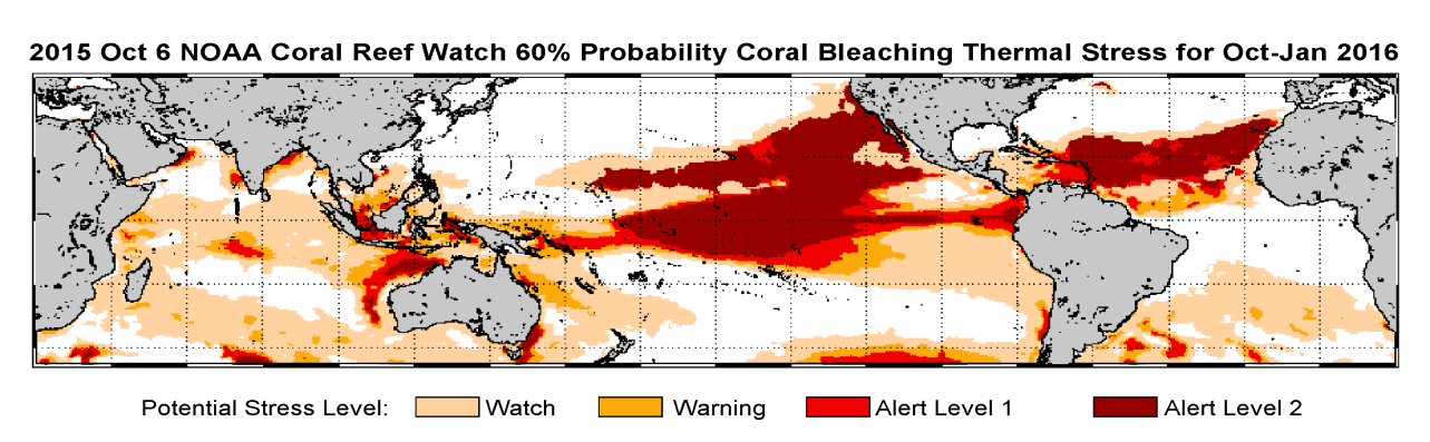 Ook zijn bepaalde koraalsoorten beter bestand tegen extreme temperatuurschommelingen dan andere.