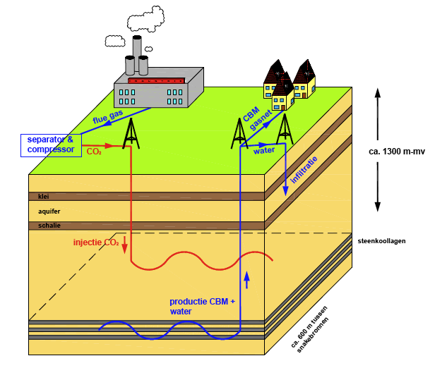 Figuur 6. Steenkoolgaswinning gecombineerd met CO2 injectie en ondergrondse opslag afvalwater, naar IF-Wep/TNO, 2009.De steenkoollagen zijn aangeboord met 'snake wells'. 4.