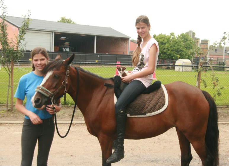Pagina 5 Kampioenen in de Waaier De hobby van Renske Wellekens uit klas 6A is paardrijden. Zij is aangesloten bij de LRV Ponyclub uit Veerle.