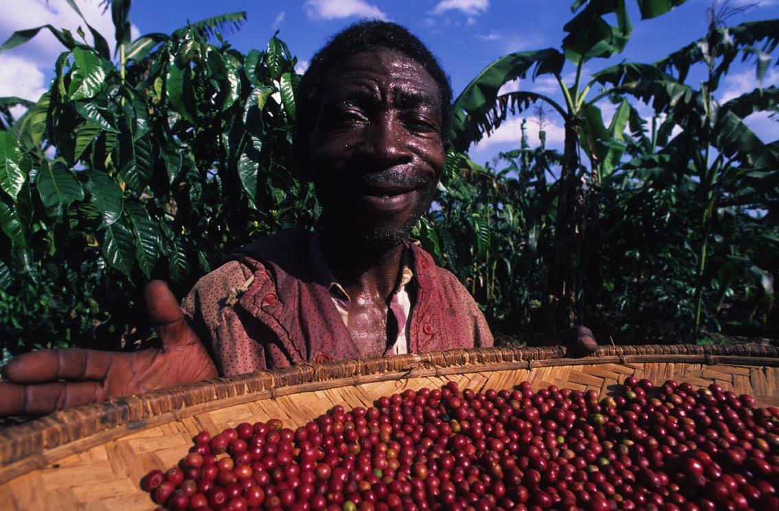 2. METHODE 2.1. Onderzoeksmethode In het huidige onderzoek wordt bestudeerd of door middel van verschillende interventies het koopgedrag van fairtrade koffie kan worden bevorderd.