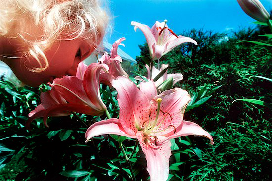 Plant&Joy (->) Communicatie Communicatiemiddelen Met de nieuwe zomercollectie...met de nieuwe lente collectie De vogeltjes zingen weer, de lentekriebels dansen door je buik.