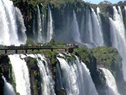 Programma Op het snijvlak van Argentinië en Brazilië ligt één van de grootste natuurlijke wonderen van Zuid- Amerika, de onbeschrijflijk grote watervallen van Iguaçu.