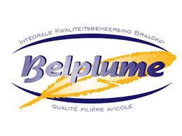 5.3 Belplume In 2002 hebben alle geledingen van de braadkippenkolom gezamenlijk het initiatief genomen om Belplume op te richten.