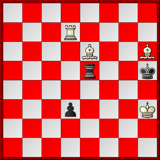 F/ Rigaer Nachrichten, 1922 Wit aan zet wint 1.b8D+ Kxb8 1...Pxb8 2.g7 Wit wint. 2.g7 Te5+ 3.Kf1!! 3.Kf2? Te8 4.Tf3 Tc8 5.Tf7 Pe5 6.Tf8 Pg4+ 7.Kg3 Ph6 remise. 3...Te8 4.Tf3! Tc8! 5.Tf7!! g4 6.