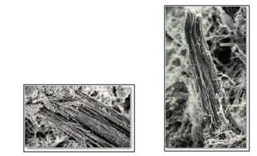 Bijlage V: Algemene duiding asbest Bijlage V: Algemene duiding asbest OMSCHRIJVING Asbest is de verzamelnaam voor een aantal magnesiumhoudende silicaten met een vezelachtige structuur, die van nature