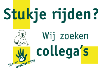 Colofon Deze brochure wordt u aangeboden door: Dierenambulance Haarlem & Vereniging Dierenbescherming afdeling Haarlem en omstreken Gen.