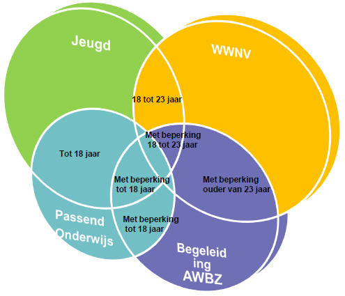 Het overkoepelend programma zorgt voor de afstemming van de verschillende projecten (in tijd, in middelen, op inhoud en t.a.v. de communicatie).