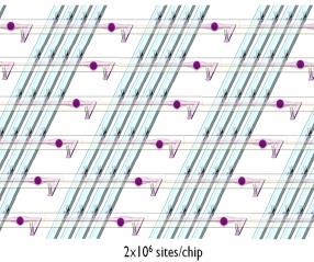 0 Molecular micro-ring sensors Microfluidics, photonics Lab-on-chip $1000.0 $100.0 $10.0 $1.0 2001 2003 http://www.genome.