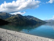 Wanaka) door bos en open tussock naar de Fern Burn Hut en terug. Wandeling: 3-4 hr lopen met 400m hoogteverschil.