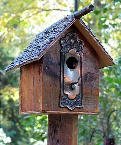 Hulp voor dieren: vogels Laat je sleutel niet op de deur zitten!