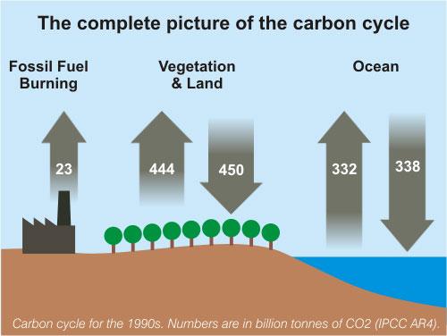 Summary of climate change science De mondiale CO2 cyclus.