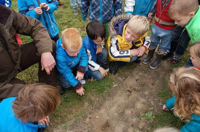 Uitspraken van kinderen n.a.v. introductieles ecoduct: Met een zebrapad kunnen ze oversteken Er kunnen stoplichten worden neergezet. De dieren moeten eerst naar links en dan naar rechts kijken.