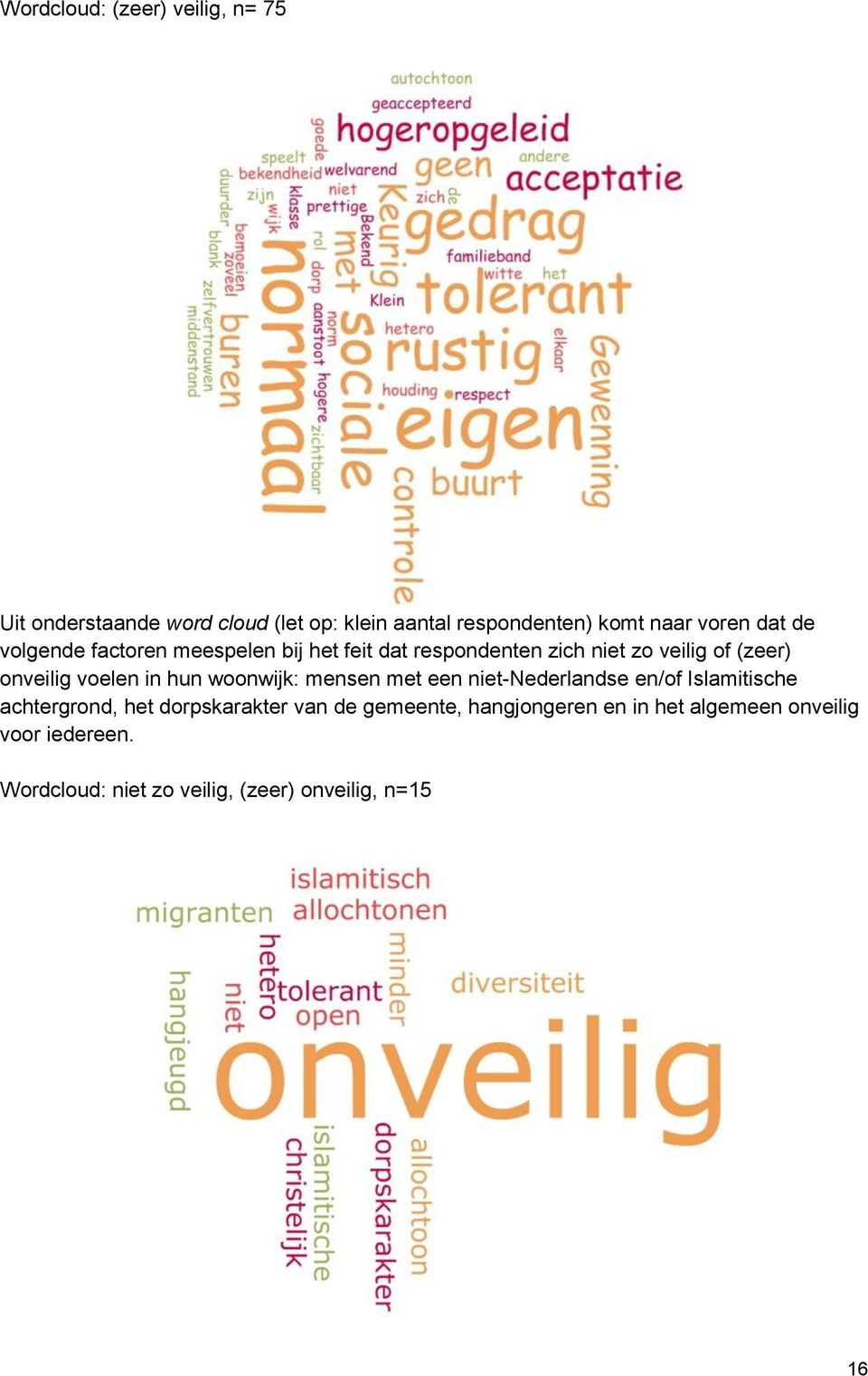 in hun woonwijk: mensen met een niet-nederlandse en/of Islamitische achtergrond, het dorpskarakter van de