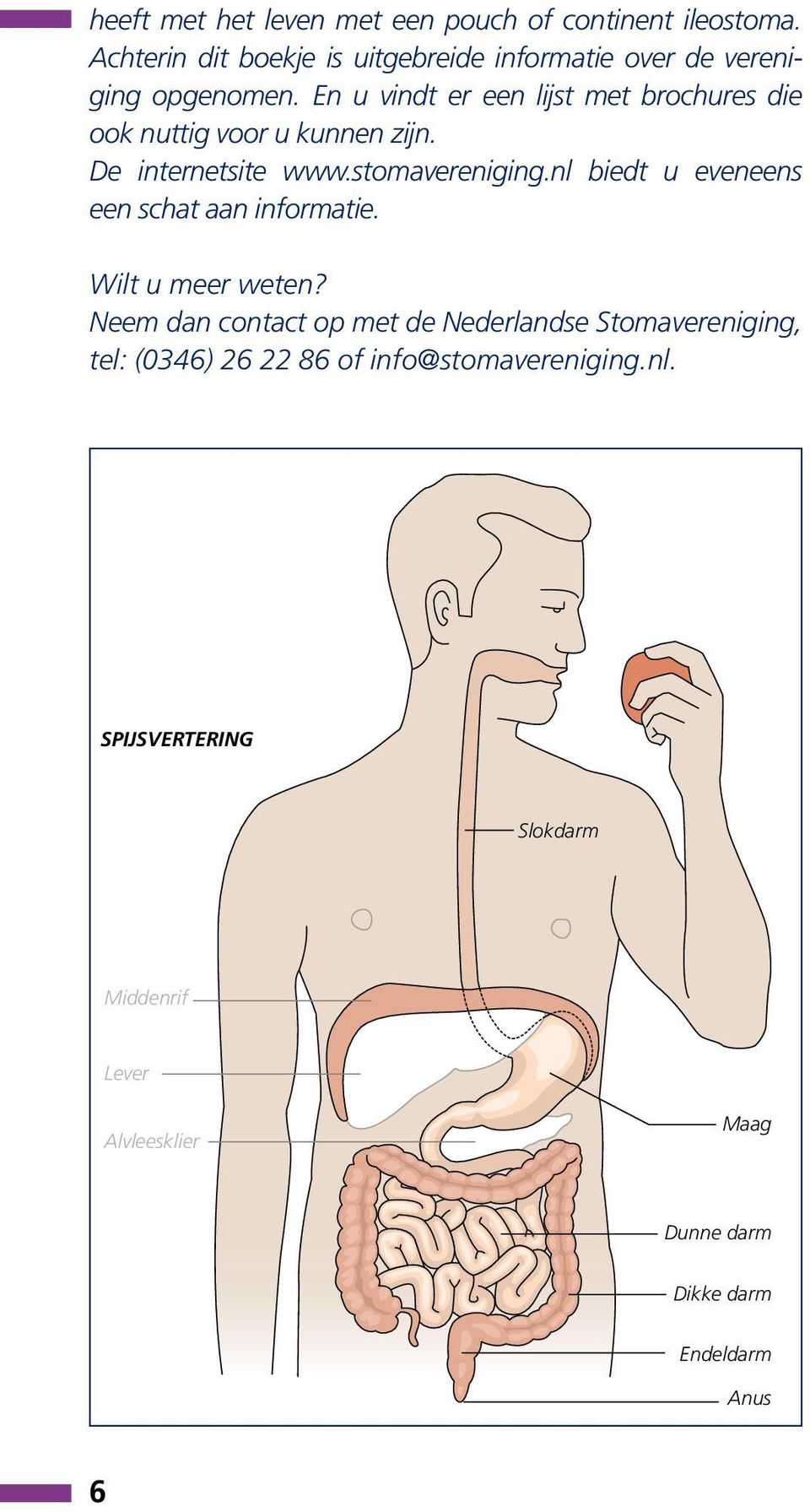 En u vindt er een lijst met brochures die ook nuttig voor u kunnen zijn. De internetsite www.stomavereniging.