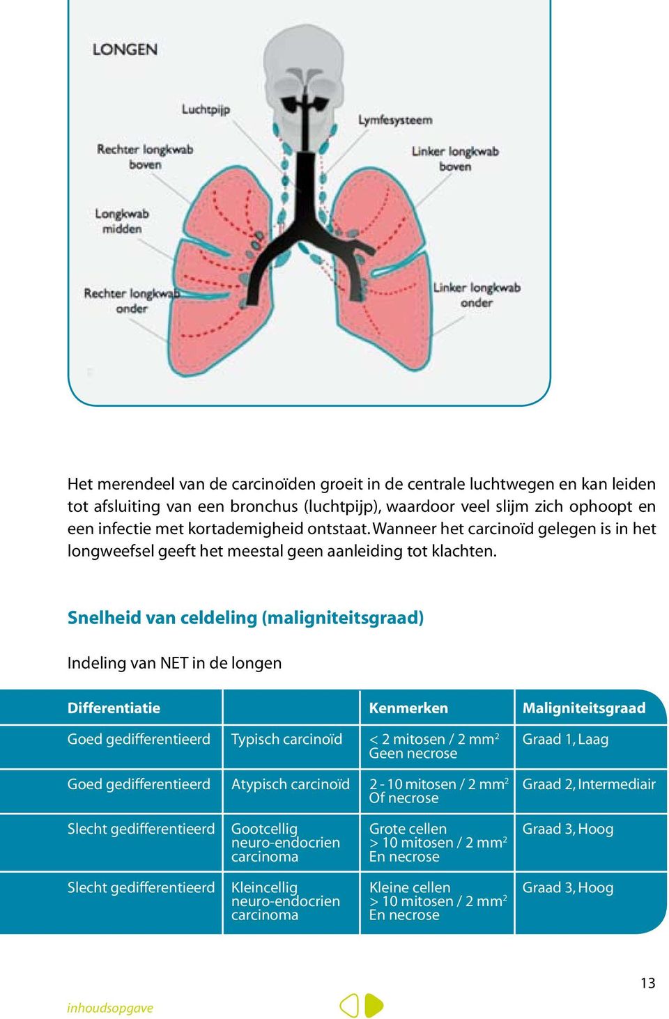 Snelheid van celdeling (maligniteitsgraad) Indeling van NET in de longen Differentiatie Kenmerken Maligniteitsgraad Goed gedifferentieerd Typisch carcinoïd < 2 mitosen / 2 mm 2 Graad 1, Laag Geen