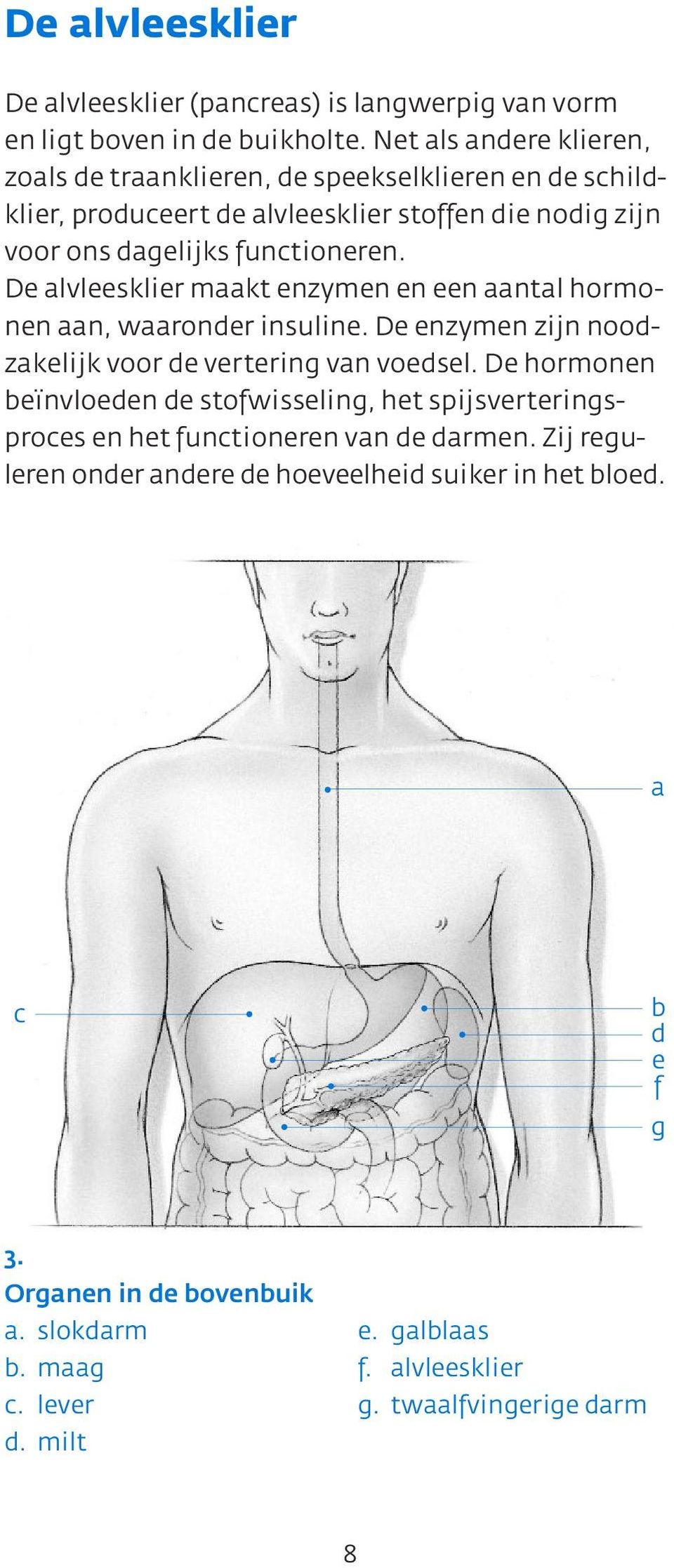 De alvleesklier maakt enzymen en een aantal hormonen aan, waaronder insuline. De enzymen zijn noodzakelijk voor de vertering van voedsel.