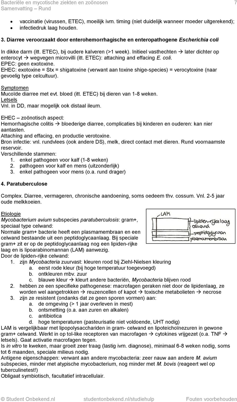 Initieel vasthechten later dichter op enterocyt wegvegen microvilli (itt. ETEC): attaching and effacing E. coli. EPEC: geen exotoxine.