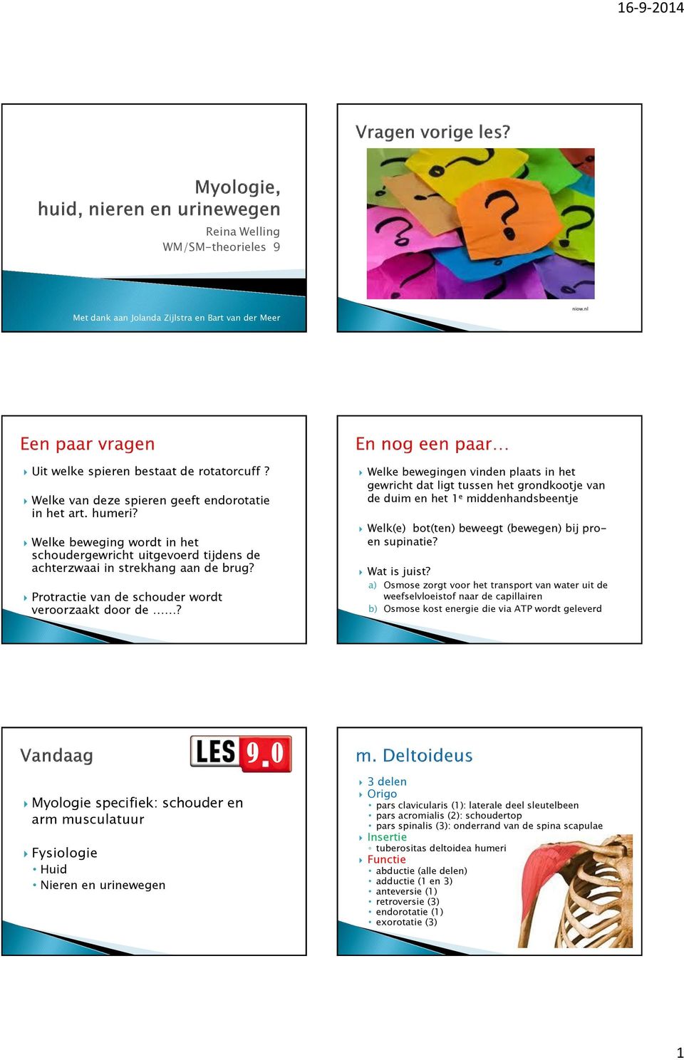 9 0 9 0 Welke bewegingen vinden plaats in het gewricht dat ligt tussen het grondkootje van de duim en het 1 e middenhandsbeentje Welk(e) bot(ten) beweegt (bewegen) bij proen supinatie? Wat is juist?