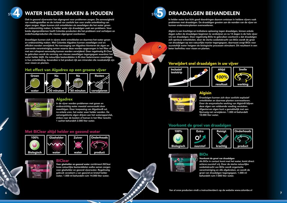 In helder water zijn draadalgen vaak een probleem. Voor beide algenproblemen heeft Colombo producten die het probleem snel verhelpen en onderhoudsproducten die nieuwe algengroei voorkomen.