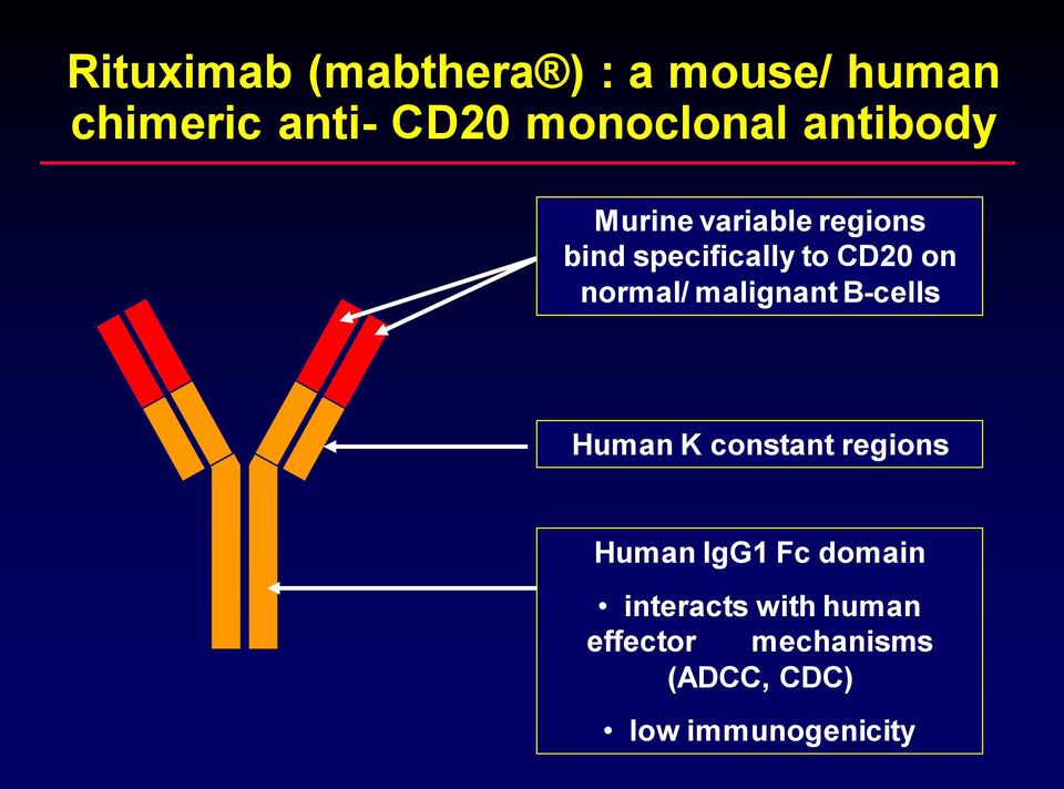 CD20 on normal/ malignant B-cells Human K constant regions Human