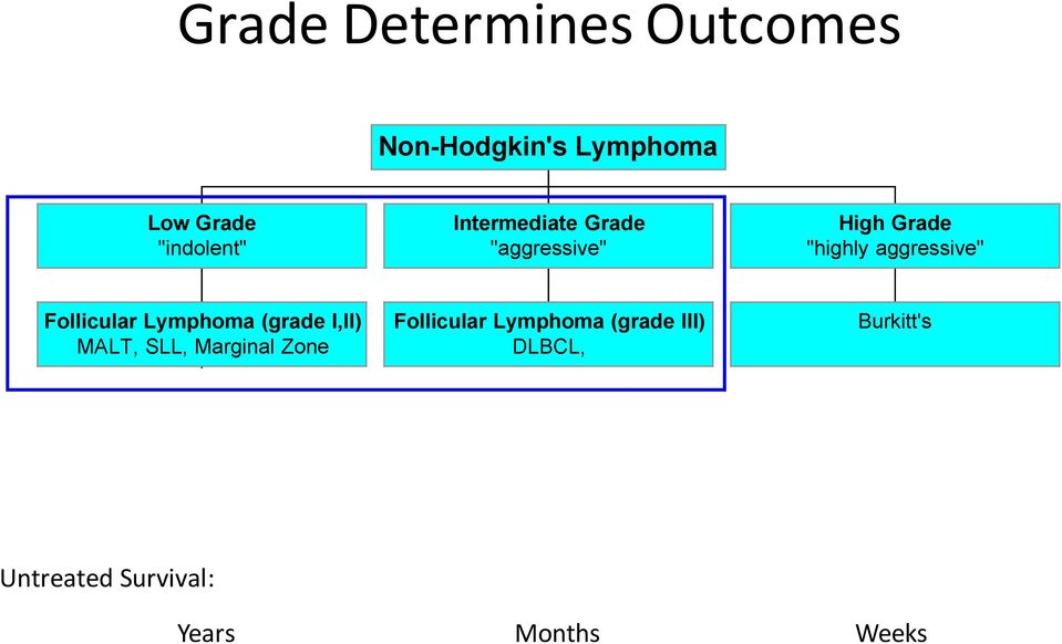 Lymphoma (grade I,II) MALT, SLL, Marginal Zone Follicular Lymphoma (grade III)