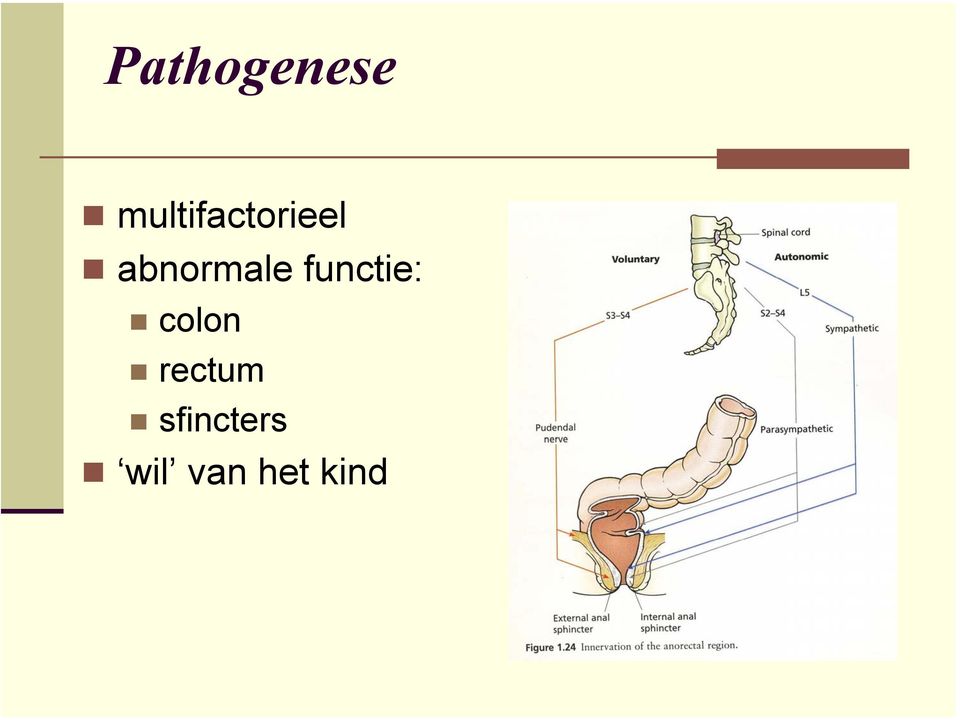 abnormale functie: