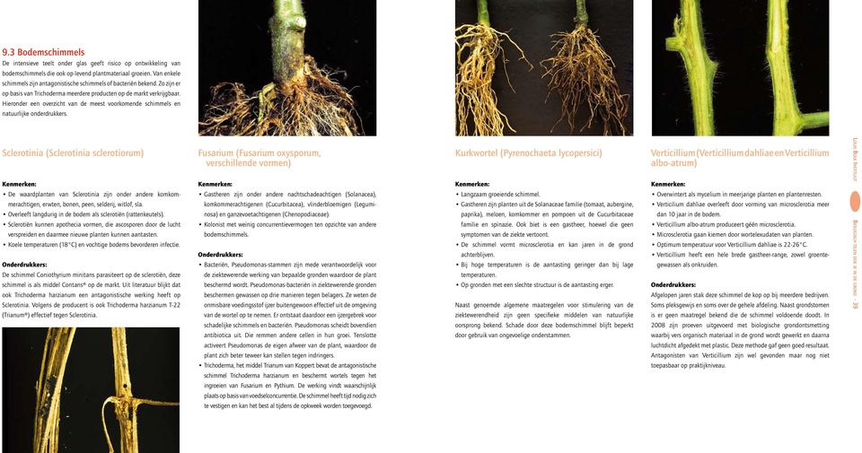 Hieronder een overzicht van de meest voorkomende schimmels en natuurlijke onderdrukkers.