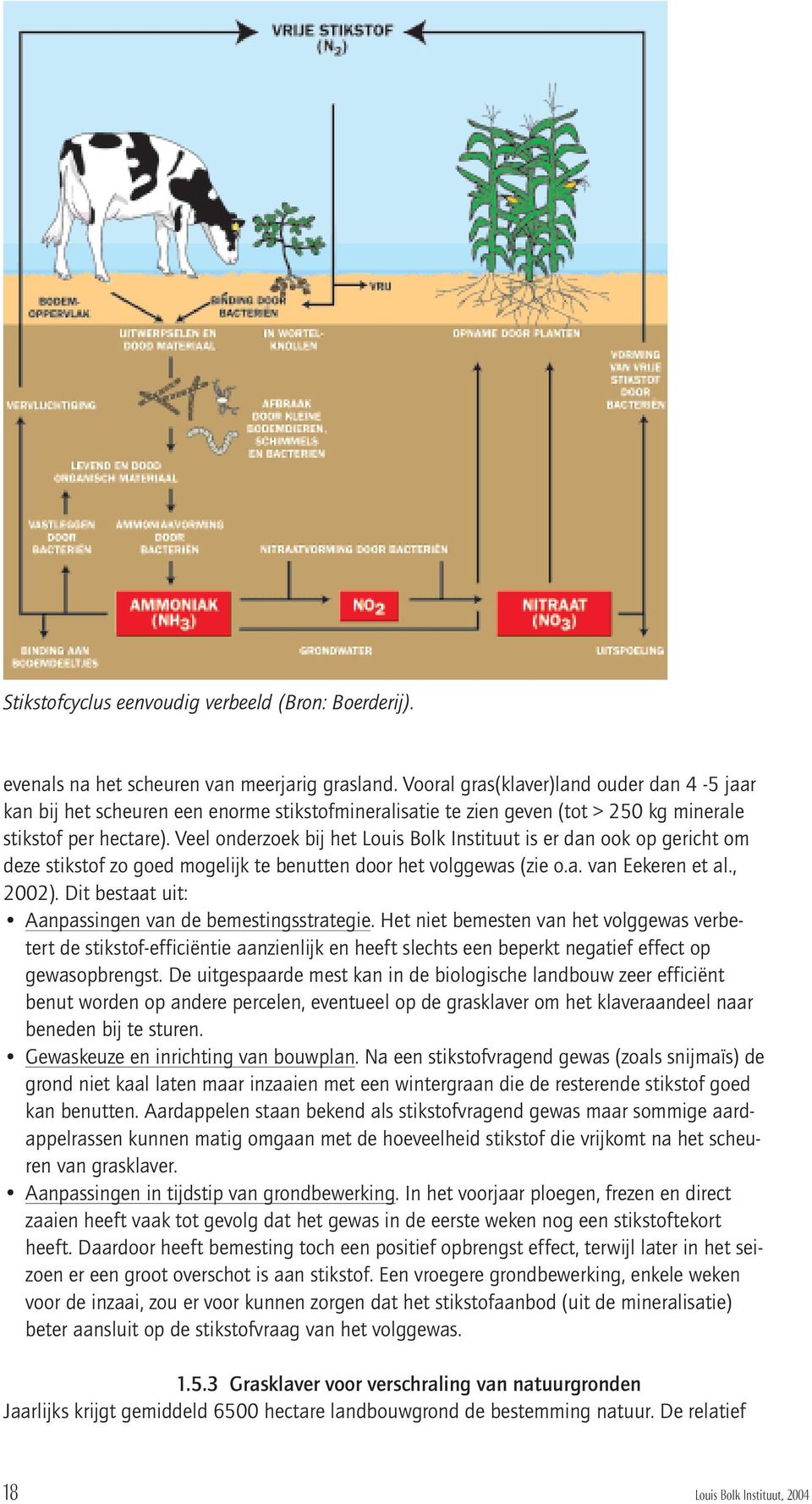 Veel onderzoek bij het Louis Bolk Instituut is er dan ook op gericht om deze stikstof zo goed mogelijk te benutten door het volggewas (zie o.a. van Eekeren et al., 2002).