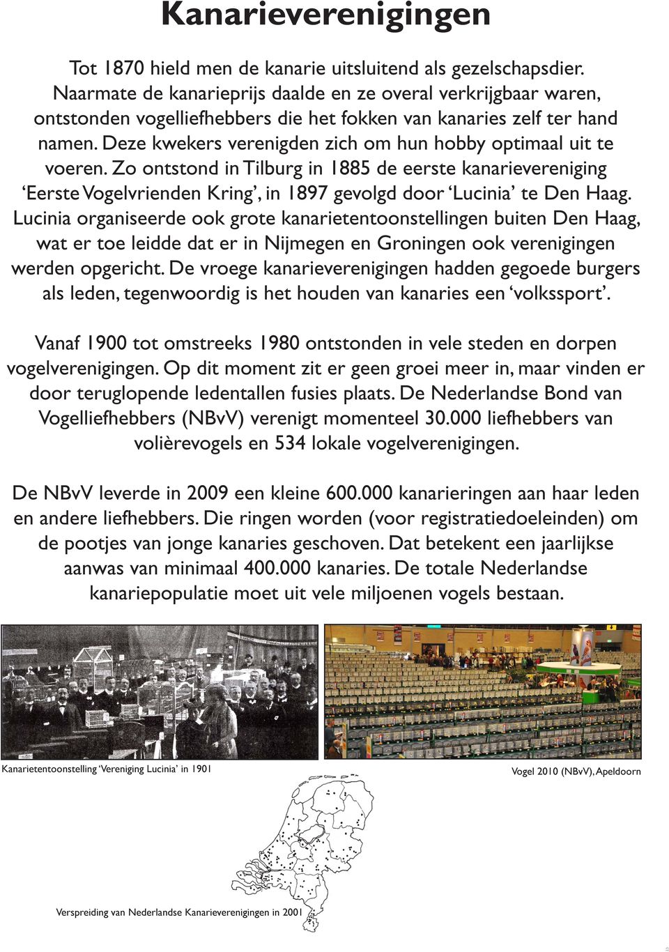 Deze kwekers verenigden zich om hun hobby optimaal uit te voeren. Zo ontstond in Tilburg in 1885 de eerste kanarievereniging Eerste Vogelvrienden Kring, in 1897 gevolgd door Lucinia te Den Haag.