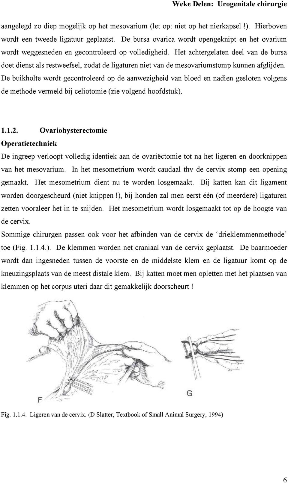 Het achtergelaten deel van de bursa doet dienst als restweefsel, zodat de ligaturen niet van de mesovariumstomp kunnen afglijden.