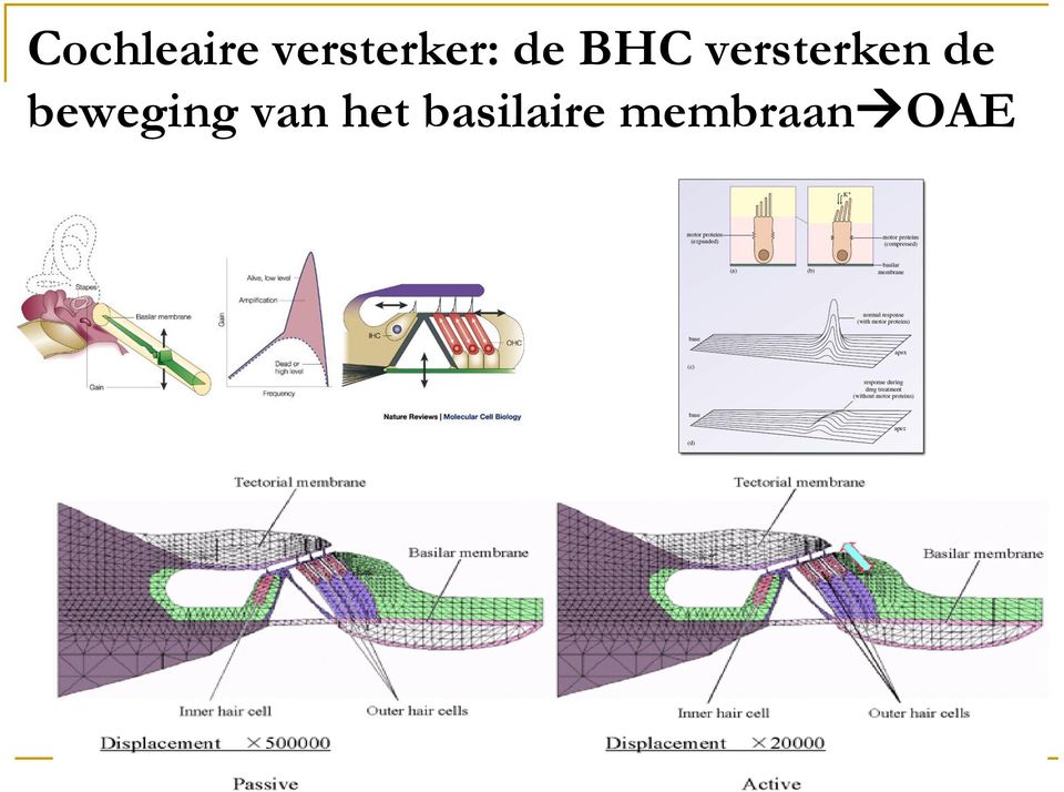 versterken de