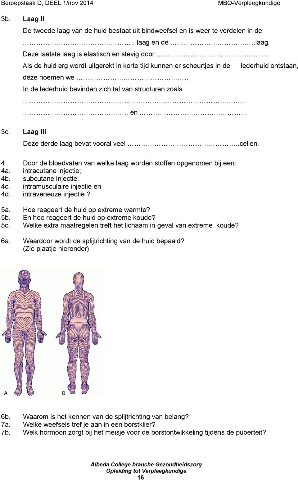 Laag III Deze derde laag bevat vooral veel..cellen. 4 Door de bloedvaten van welke laag worden stoffen opgenomen bij een: 4a. intracutane injectie; 4b. subcutane injectie; 4c.