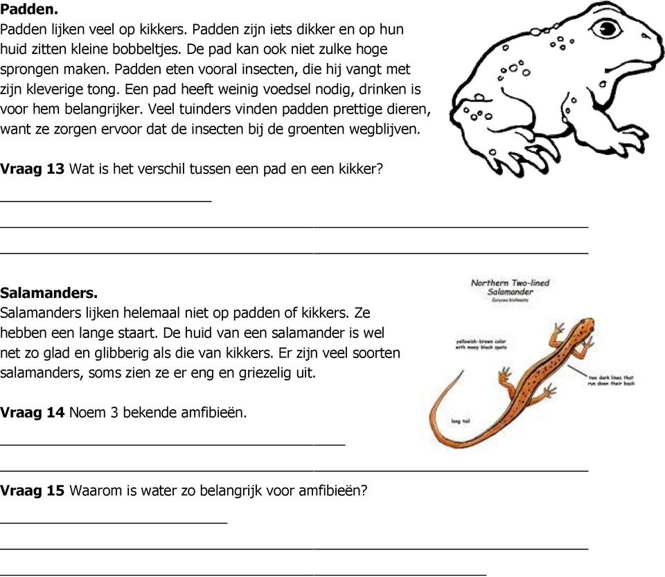 Veel tuinders vinden padden prettige dieren, want ze zorgen ervoor dat de insecten bij de groenten wegblijven. Vraag 13 Wat is het verschil tussen een pad en een kikker? Salamanders.