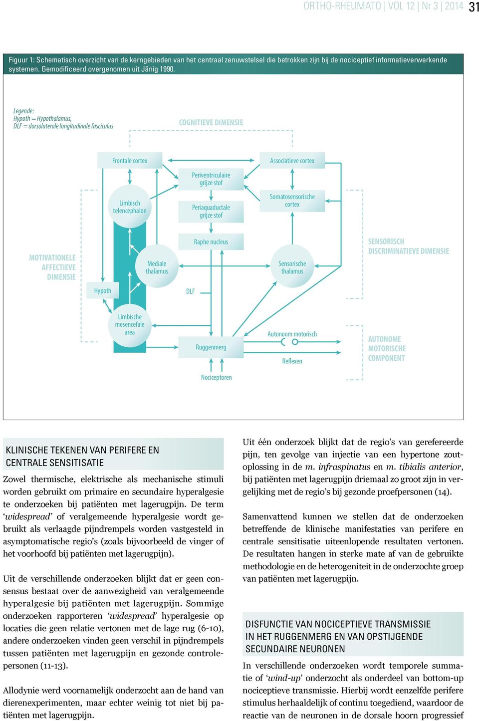 Legende: Hypoth = Hypothalamus, DLF = dorsolaterale longitudinale fasciculus COGNITIEVE DIMENSIE Frontale cortex Limbisch telencephalon Periventriculaire grijze stof Periaquaductale grijze stof