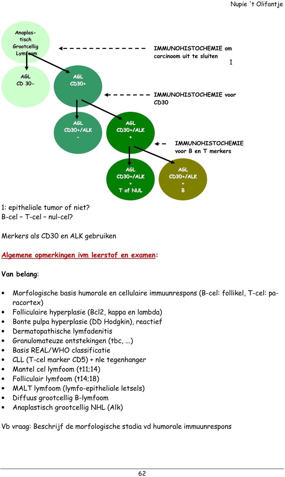 Merkers als CD30 en ALK gebruiken Algemene opmerkingen ivm leerstof en examen: Van belang: Morfologische basis humorale en cellulaire immuunrespons (B-cel: follikel, T-cel: paracortex) Folliculaire