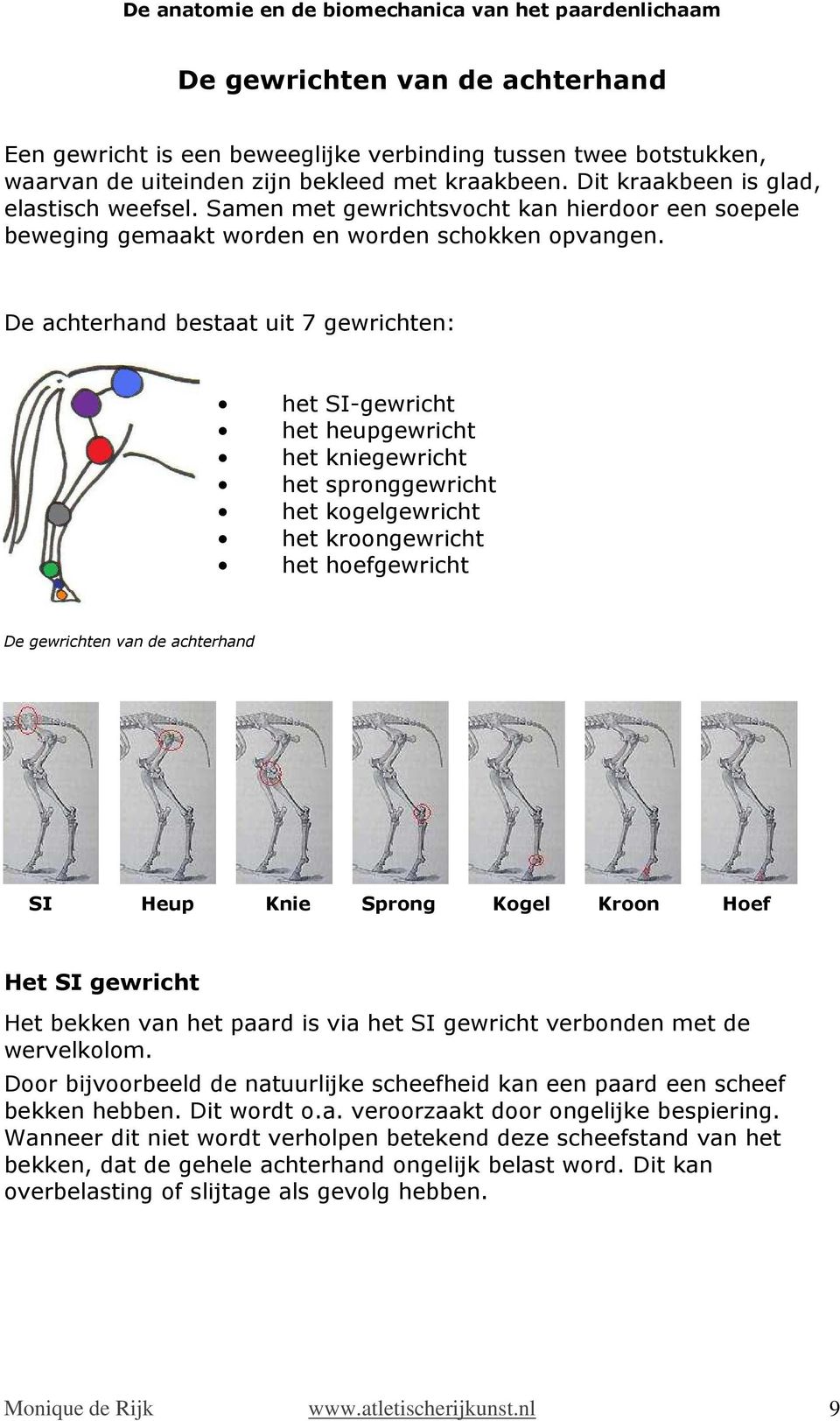 De achterhand bestaat uit 7 gewrichten: het SI-gewricht het heupgewricht het kniegewricht het spronggewricht het kogelgewricht het kroongewricht het hoefgewricht De gewrichten van de achterhand