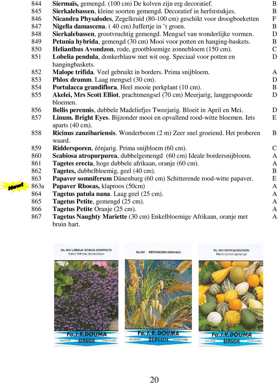 Mengsel van wonderlijke vormen. D 849 Petunia hybrida, gemengd (30 cm) Mooi voor potten en hanging-baskets. B 850 Helianthus Avondzon, rode, grootbloemige zonnebloem (150 cm).